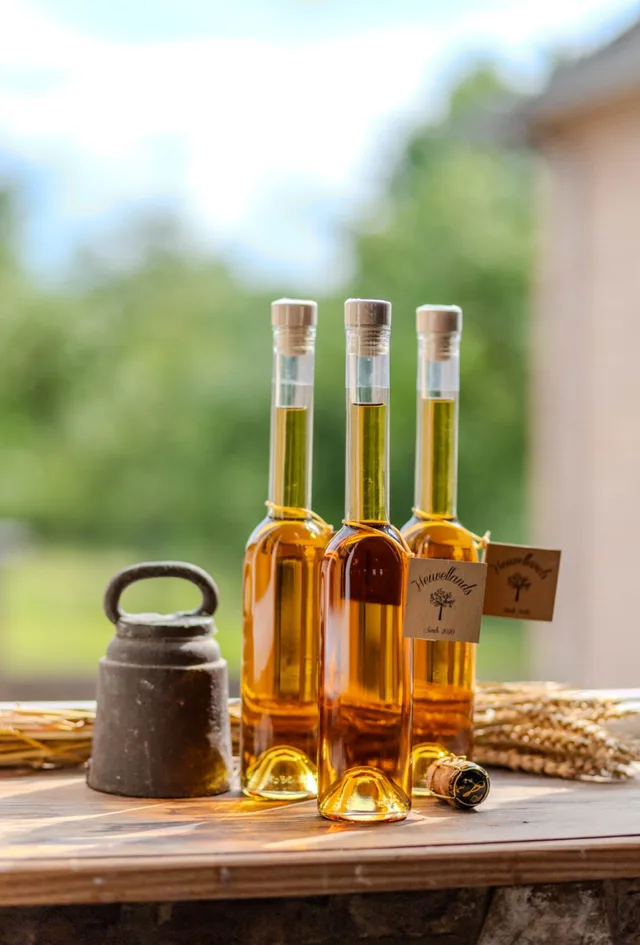 Three slender bottles of golden pear cider on a wooden table, orchard greenery soft behind them